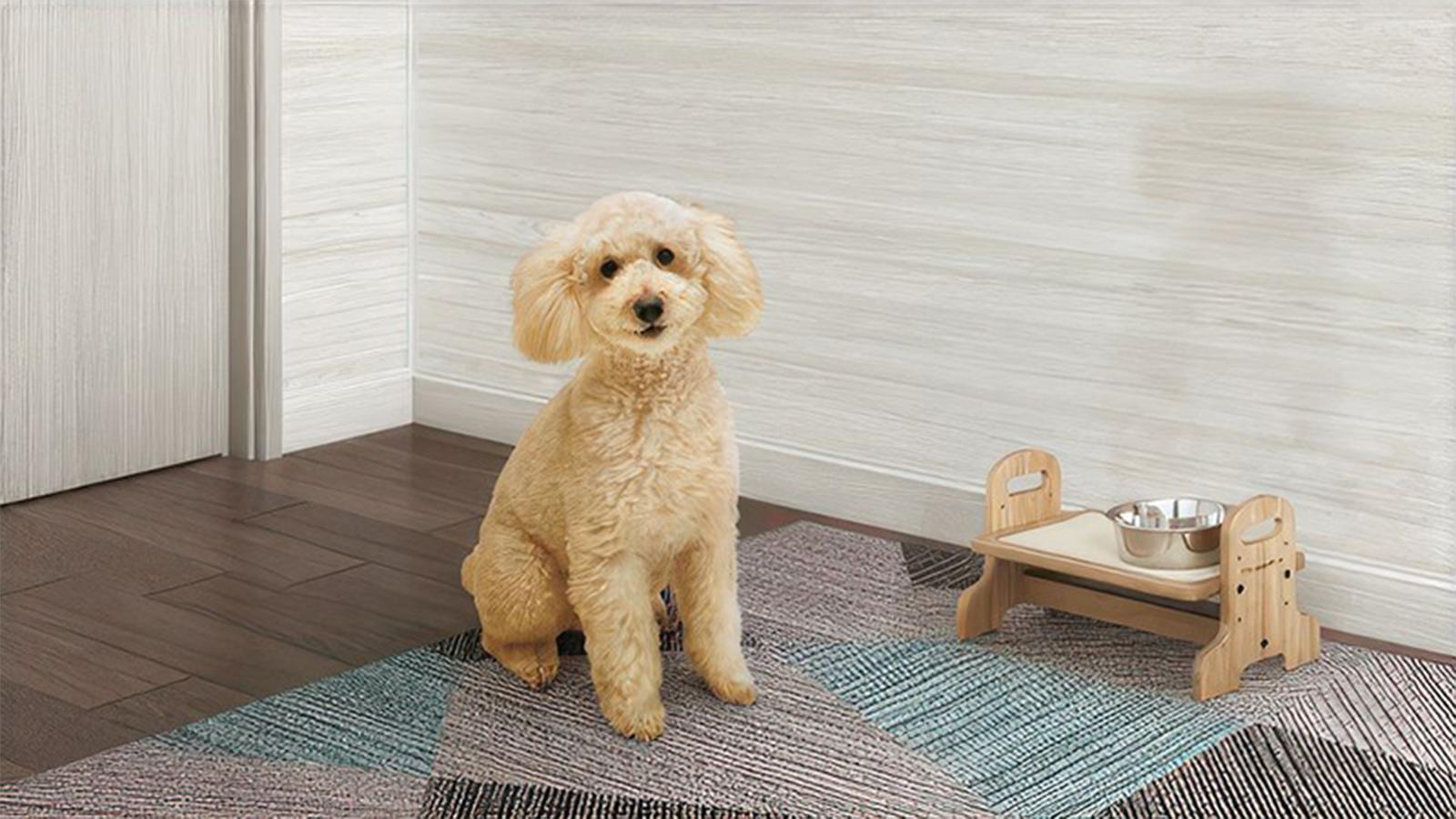 也無需擔心異味